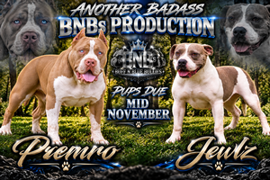 PREMRO X JEWLZ