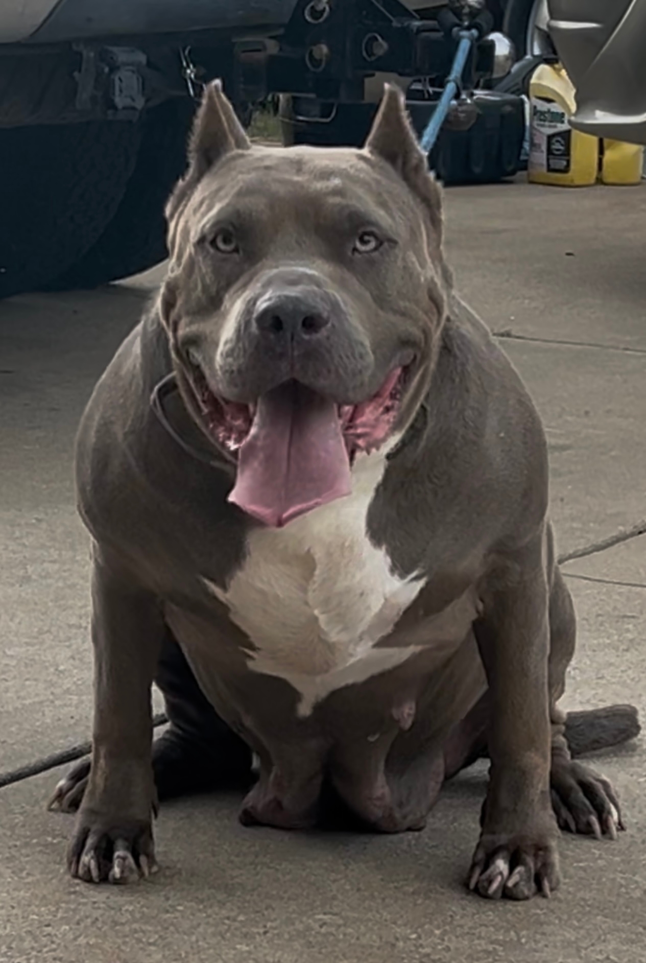 BNBs Layla