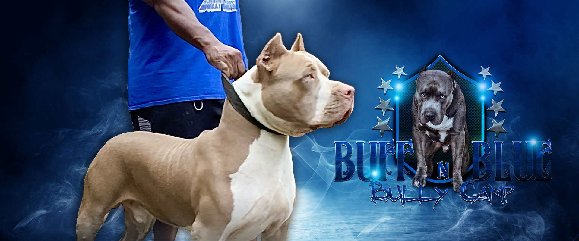 Blue 2024 bully kennels